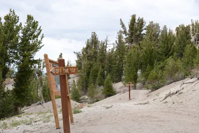 DSC_3123 (Large).JPG